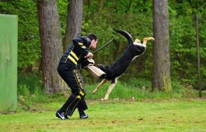 azza-bonitace-kolin-2014---kontrolak.3.jpg